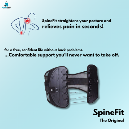 SpineFit - The Original